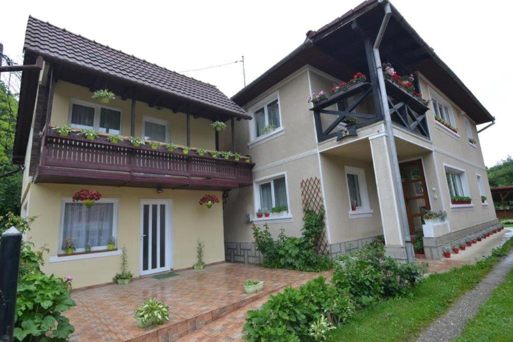 Gasthaus Casa Georgeta Bran  Exterior foto