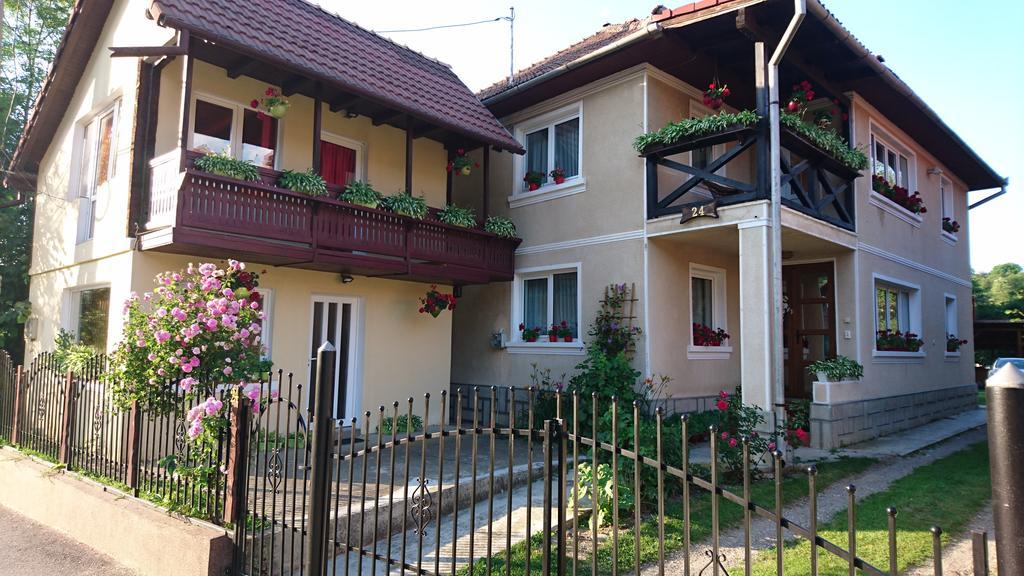 Gasthaus Casa Georgeta Bran  Exterior foto